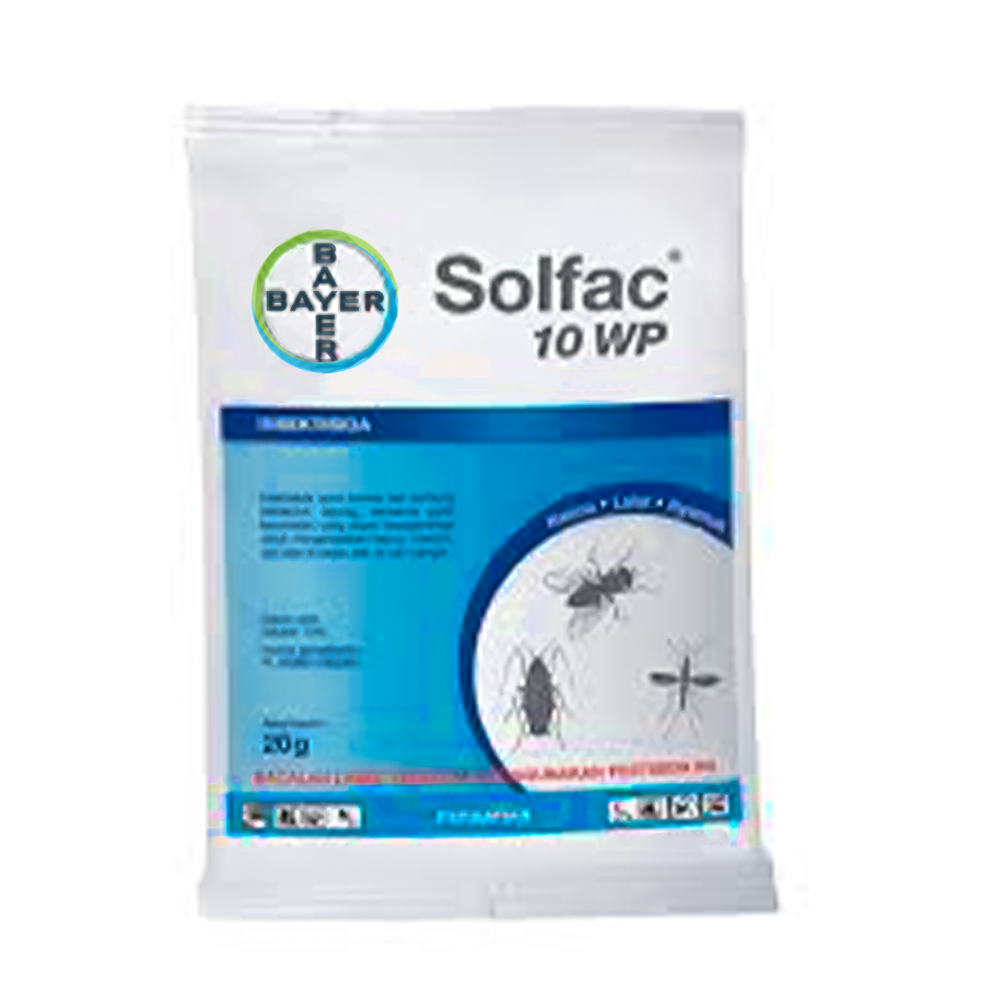 SOLFAC WP 10